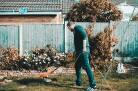 Yard Cleaning
